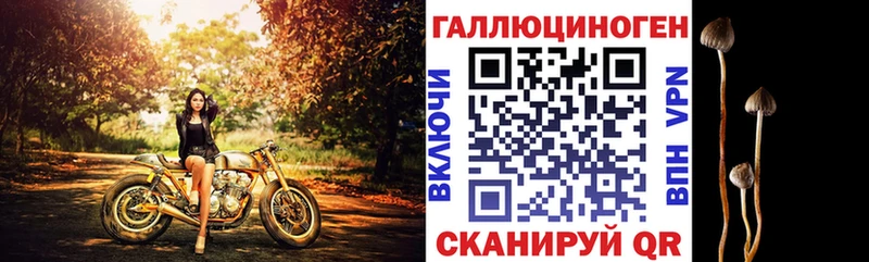 где купить наркотик  Елизово  Галлюциногенные грибы Cubensis 